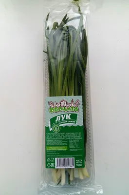 Купить лук зеленый свежий в упаковке оптом в СПб ‒ Грин Салат