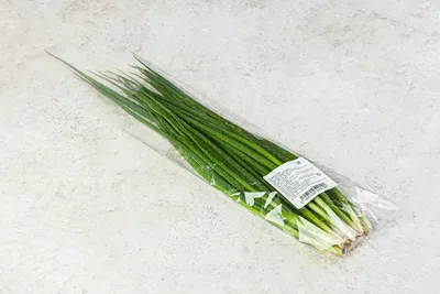 Как вырастить зелёный лук на подоконнике - Лайфхакер