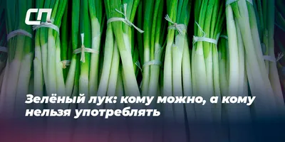 Почему не растёт зелёный лук дома на подоконнике | САДОВОД ИЗ МЕГАПОЛИСА |  Дзен