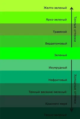 Зелёный фон — скачай и узнай главную магию этого цвета | Hromakej | Дзен