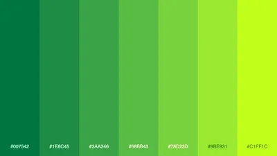 все оттенки зеленого цвета названия: 12 тыс изображений найдено в  Яндекс.Картинках | Оттенки зеленого, Зеленый, Названия цветов