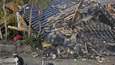 Последствия землетрясения в Японии. Фоторепортаж — РБК