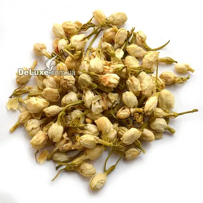 Арабский жасмин (Arabian Jasmine), ароматическое масло для свечей, купить в  Талдыкургане | Candlescraft.kz