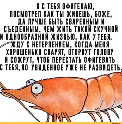 Издательство АСТ Встречаем Новый год. Адвент-календарь. 30 дней в ожидании