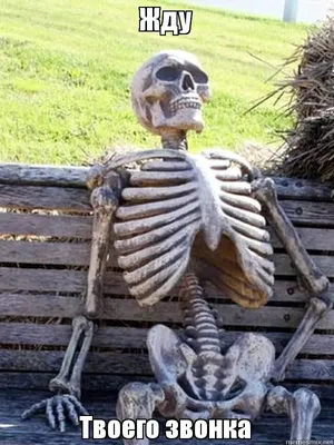 Жду Твоего звонка - Скелет ждет | Waiting skeleton meme, The dark crystal,  Waiting meme