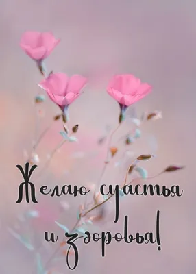 Открытки - Желаю счастья! 💝💞💗💖💜💝💞💗💖💜💝💞 Желаю счастья целый  ворох, Улыбок, радости букет, Друзей надежных и веселых, Счастливой жизни,  долгих лет. | Facebook