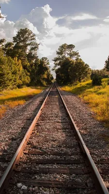 640x1136 Железная дорога, трава, небо, лето обои iPhone 5S, 5C, 5 | Train  tracks photography, Railroad track pictures, Summer wallpaper
