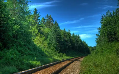 Обои поезда, шпалы, железная дорога, железные дороги, природа, фото,  деревья, леса, пути, транспорт, рельсы на рабочий стол