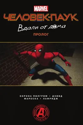 Скачать Скин железного человека-паука из фильма\"Мстители. Война  бесконечности\" для GTA 5