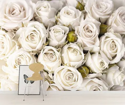 Желтые розы - Цветы - Обои для рабочего стола №615