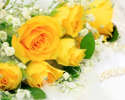 Обои Цветы Розы, обои для рабочего стола, фотографии цветы, розы, ваза, желтые  Обои для рабочего стола, скачать обои картинки заставки на рабочий стол.