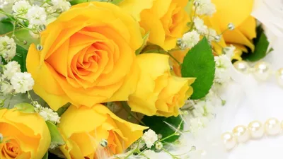желтые розы в вазе Фон Обои Изображение для бесплатной загрузки - Pngtree