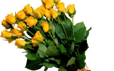 Желтые розы с эвкалиптом | доставка по Москве и области