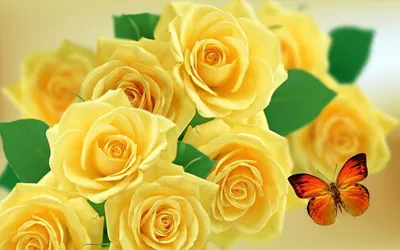 Картинки красивые, букет, цветы, цветок, жёлтые, Розы, желтые - обои  1920x1080, картинка №40536