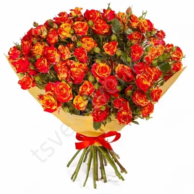 Цветы розы, желтые, цветок, букет фото, обои на рабочий стол