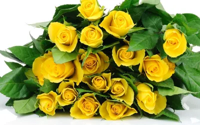 желтые розы в белых вазах Фон Обои Изображение для бесплатной загрузки -  Pngtree