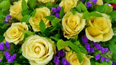 Фотообои Желтые розы №dec_9650 - цена, фото, отзывы | АВС-Decor
