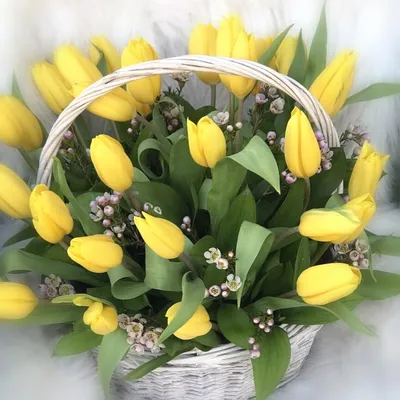 Купить фотообои \"Желтые тюльпаны\" в интернет-магазине в Москве