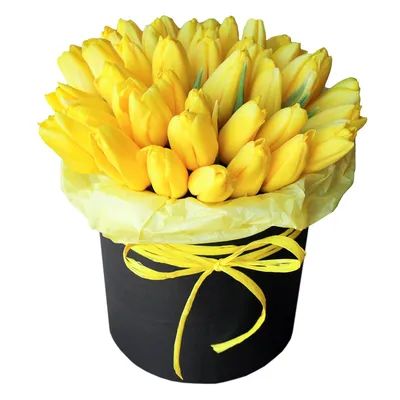 Желтые белые красные красочные тюльпаны обои украшения Фон И картинка для  бесплатной загрузки - Pngtree