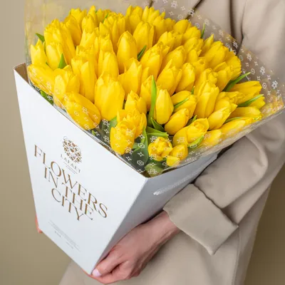 Обои на рабочий стол желтые тюльпаны - 71 фото