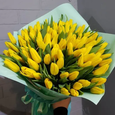 Заказать Желтые тюльпаны за 100 руб. в городе Кургане - «Цветочный»