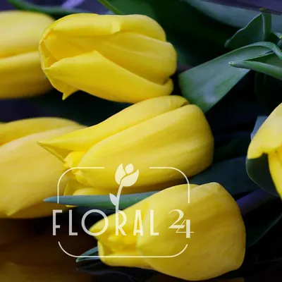 Яркие желтые тюльпаны» — создано в Шедевруме