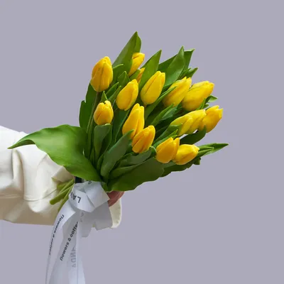 Эстетика фото | Желтые тюльпаны, Цветочные магазины, Тюльпаны