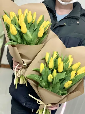 Желтые тюльпаны - красивые фото