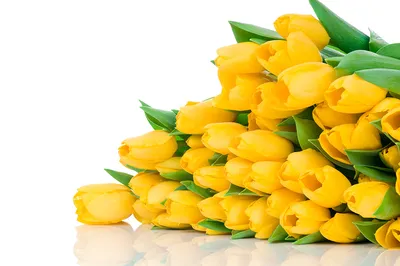 Желтые тюльпаны картина вышита …» — создано в Шедевруме