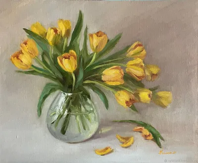 Желтые тюльпаны скачать фото обои для рабочего стола (картинка 3 из 6)