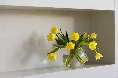 Обои Желтые тюльпаны крупным планом 1080x1920 скачать бесплатно на рабочий  стол