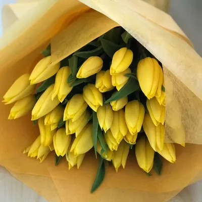 Картинка ярко желтые красивые тюльпаны обои на рабочий стол