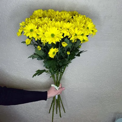 Купить обои Есения, желтые цветы золото черный фон - Обойная фабрика  «Континент»