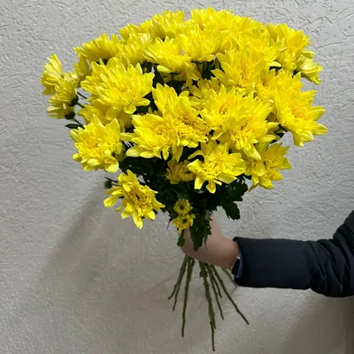 Букет желтых хризантем | доставка по Москве и области