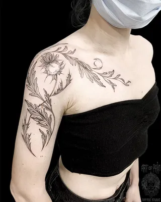 Татуировка женская графика на плече чертополох - мастер Мария Бородина  (Челнокова) 6094 | Art of Pain