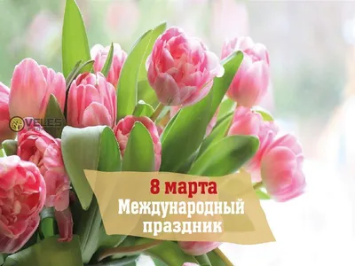 Дума Ставропольского края - 8 Марта – Международный женский день
