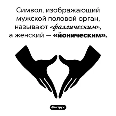 Женские внутренние половые органы - Проблемы со здоровьем у женщин -  Справочник MSD Версия для потребителей