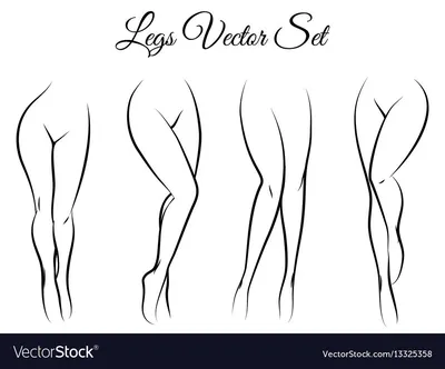 Красивые женские ноги на белом фоне . Векторное изображение ©gabylya89  97959844