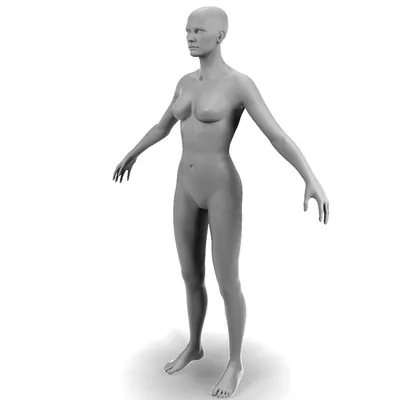 Красивое женское тело стоковое изображение. изображение насчитывающей бобра  - 32822741