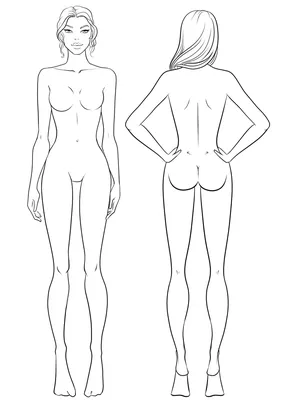 Классификация типовых фигур женщин по ростам, размерам и полнотным группам  для проектирования одежды