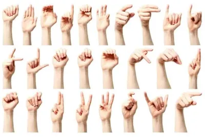 Как я начала учить язык жестов | Дом, в который хочется приходить