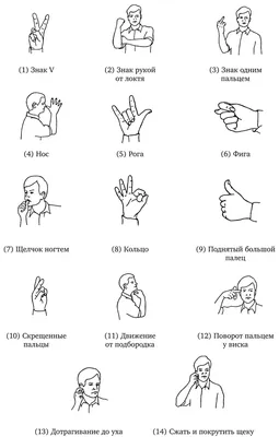 Секреты тела. Как воспринимаются жесты в разных культурах?