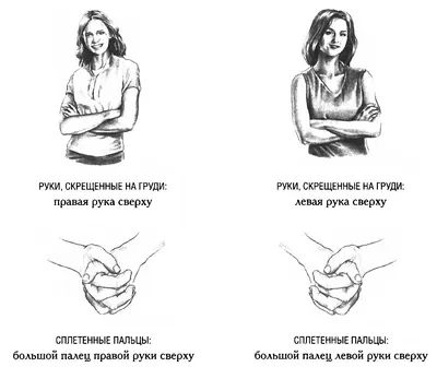 Классификация психологических типов на основе жестов-рефренов