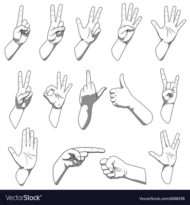 Международный язык жестов — публикации и статьи журнала STORY