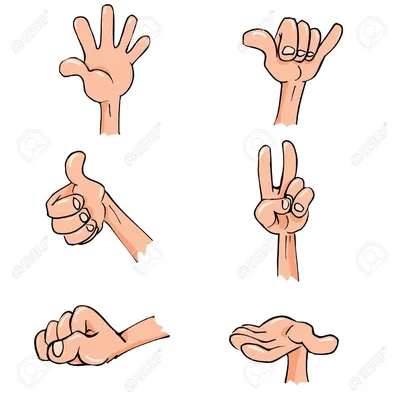 мультяшные руки в разных позах, жесты рук, png | PNGWing