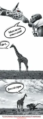 Жираф потехи иллюстрация штока. иллюстрации насчитывающей саванна -  49297273 | Жираф, Самые милые животные, Картины с жирафами