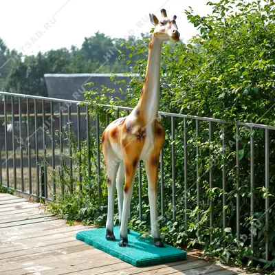 Красивый жираф в Танзании стоковое изображение. изображение насчитывающей  млекопитающее - 36446749