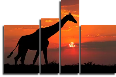 Ничего не обычного, просто жираф на йоге от Midjourney | Пикабу