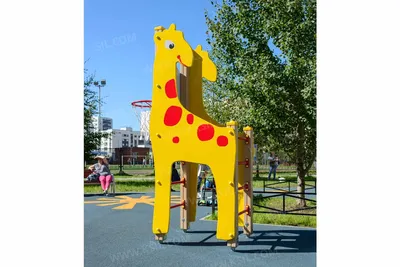 Детские Жирафа В Дикой Природе В Серенгети — стоковые фотографии и другие  картинки Жираф - Жираф, Жирафёнок, Акация - iStock