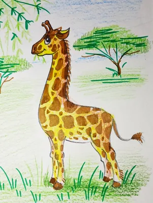 Жирафик детский рисунок - 45 фото